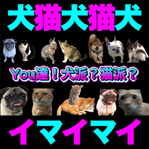 You達！犬派？猫派？