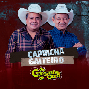 Capricha Gaiteiro (Ao Vivo)