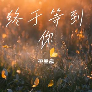 终于等到你