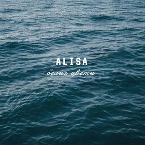 белые цветы