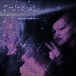 Splitbrain