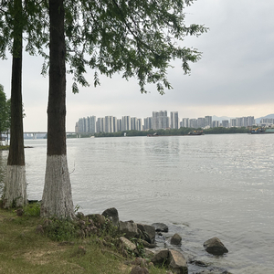 南方少雪难忆从前