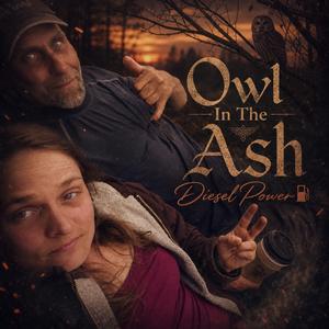 Owl in the ash
