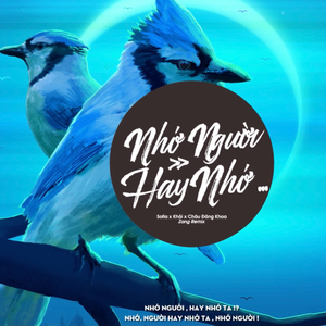 NHỚ NGƯỜI HAY NHỚ (ZANG REMIX)