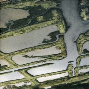 Like Watching **** on a Shelf