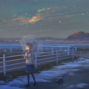鲜花盛开的时候