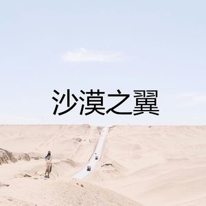 沙漠之翼 拓展声场