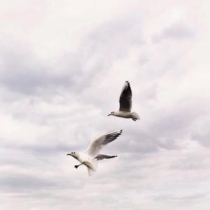 骗自己PT.2（Cover AY杨佬叁/Noor-99）