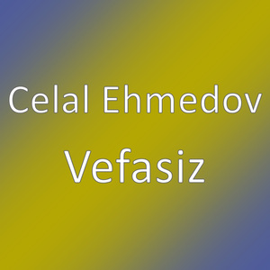 Vefasiz