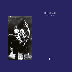 If I Could See You Again