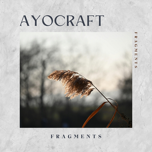 Fragments