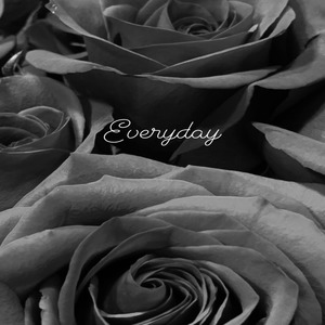 Everyday