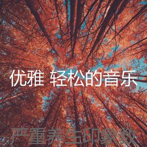 一尘不染睡眠印象数