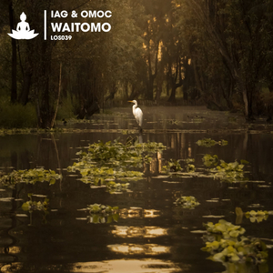 Waitomo (Extended Mix)