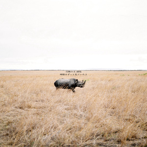 僕はいつも独り