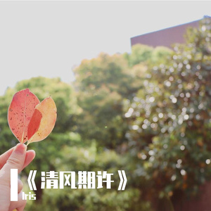 《清风期许》
