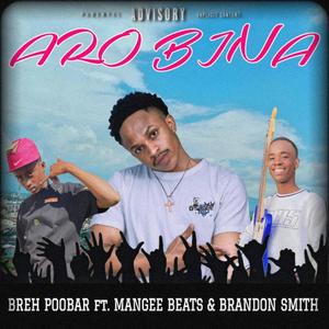Areye Ro Bina (feat. ManGee Beats & Brandon Smith)