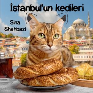 İstanbul'un kedileri