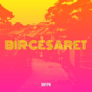 Bir Cesaret
