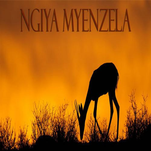 Ngiya Myenzela (Reprise)