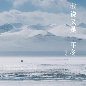 我说又是一年冬