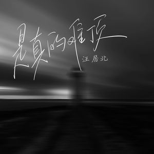 是真的难顶（傻子版）