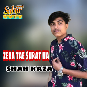 Bor Ho Bewafa