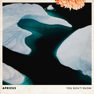 You Don't Know