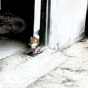 李如意小姐与王成功先生