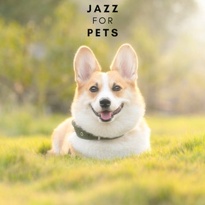 Purrs and Paws Piano Party