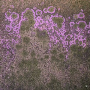 Blitz (Extended Mix)