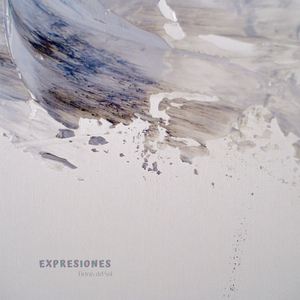 Expresiones