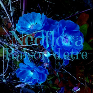 Seraphの詩声