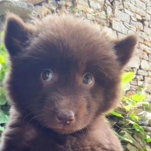 我的天和我的一天