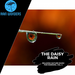 Dull Moderate Rain Dripping