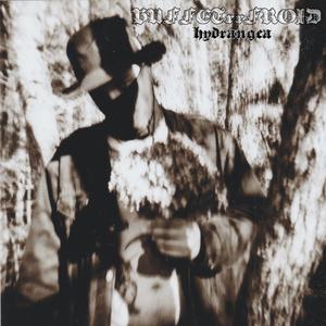 ARRACHÉ (prod. by Slayfobeats)