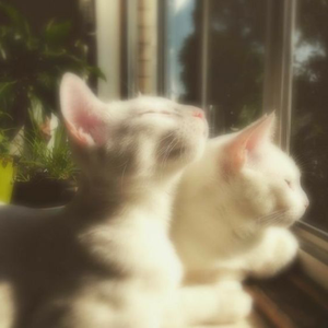 "SummerTime Blood" UK Garage Type Beat