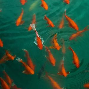 世界还是世界吗