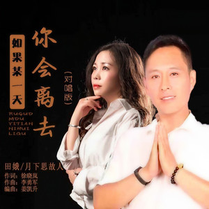 如果某一天你会离去 (DJ默涵对唱版)