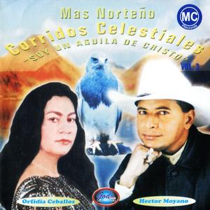 Pobre Rico