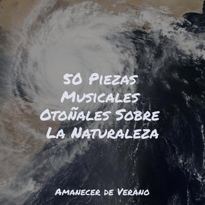 Ecos de Almas Disonantes