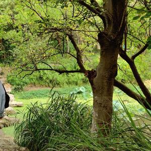 IMG_2022-03-30_11_58_23_0