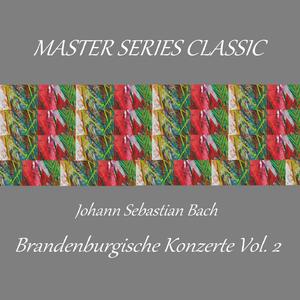 Brandenburg Concerto No. 4 in G Major, BWV 1049: II. Andante