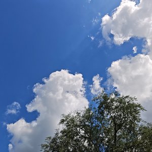 《蝉鸣的第七章》