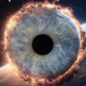 Extinction (Niko Steinmann Remix)