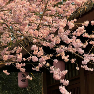 微亮（北上原声音乐）