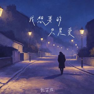 我想要的只是爱