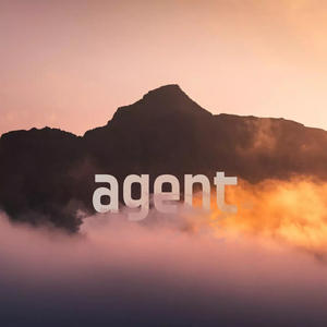 agent