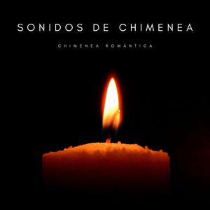 Fogata y Sonidos Del Mar