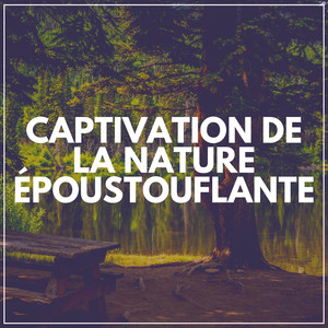Bruit de la nature